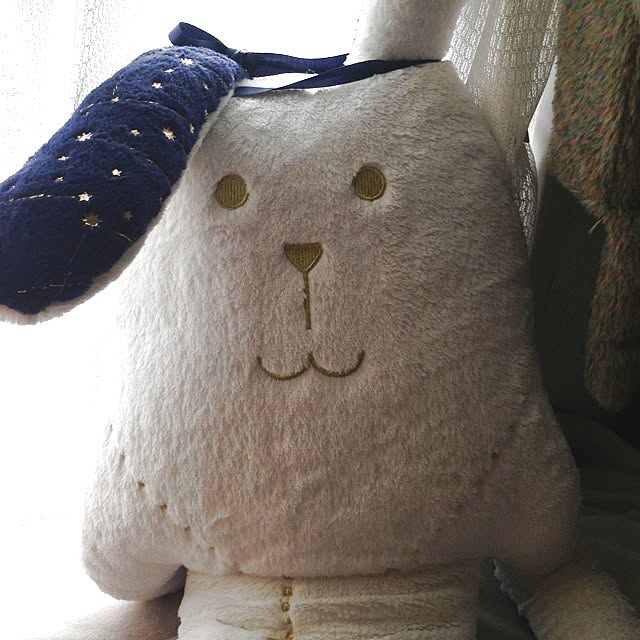 mamiさんの実例写真