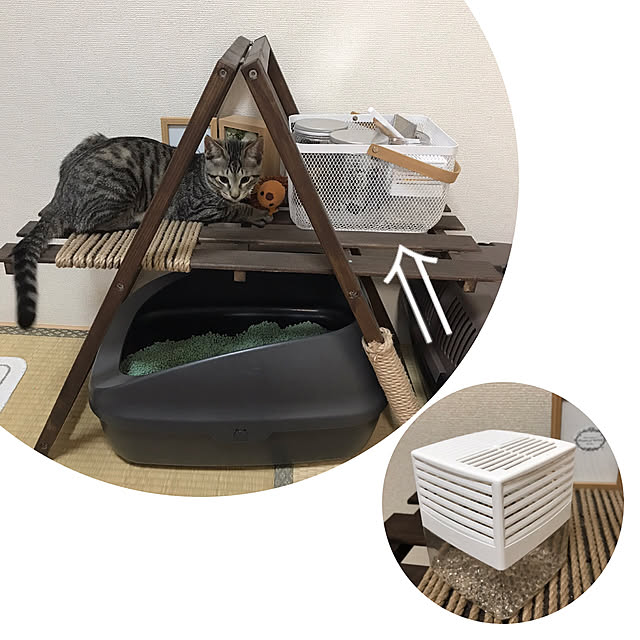 umeboshi08さんの実例写真