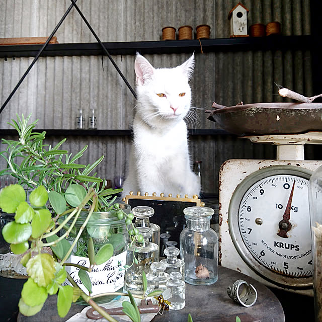 weさんの実例写真