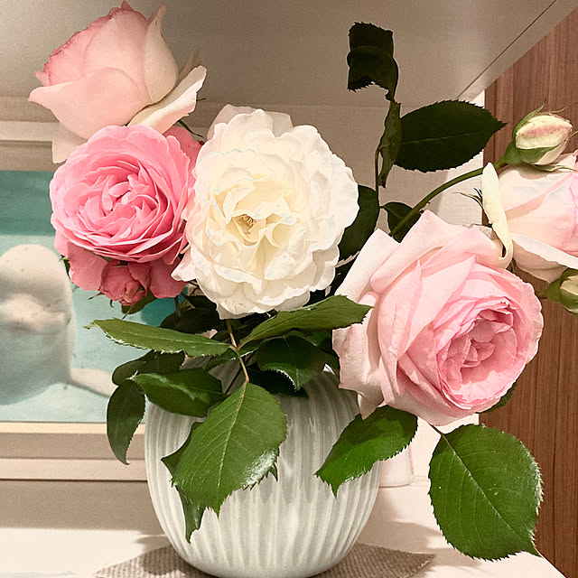 yuaroomさんの部屋