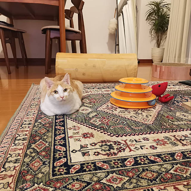 Maron0430さんの実例写真