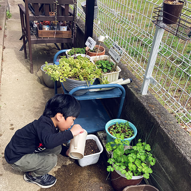 CoCo0617さんの部屋