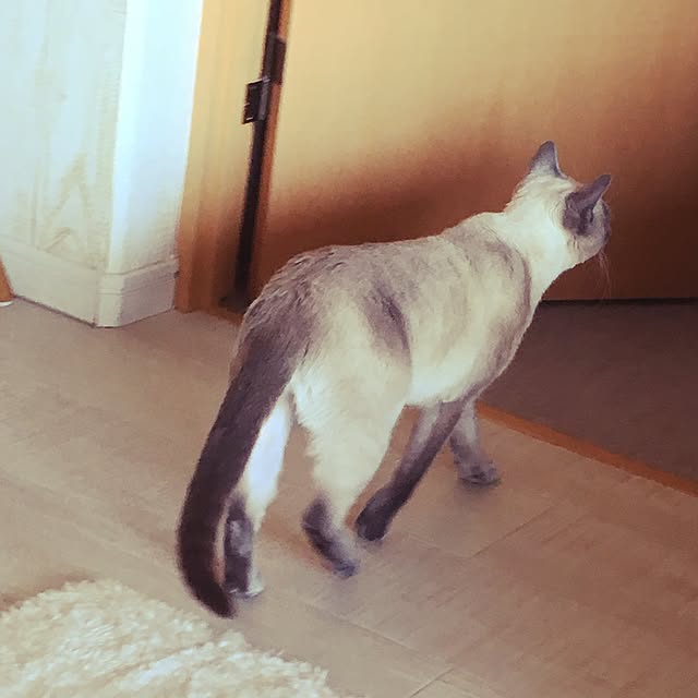 niko-25さんの実例写真