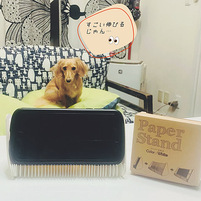 ikeさんの実例写真