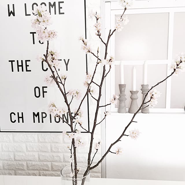 chiiiii0808さんの実例写真