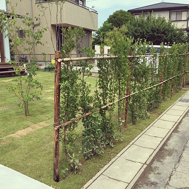 kky_manaさんの実例写真