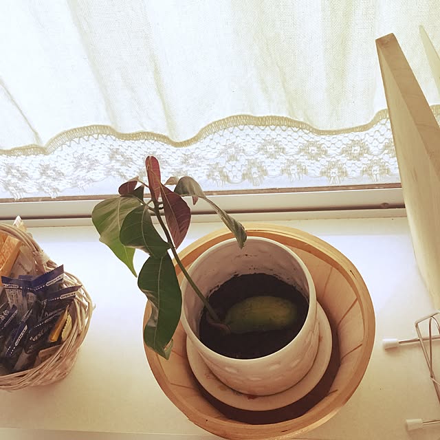 masayoさんの実例写真