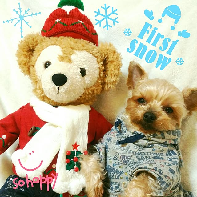 mint-soraさんの実例写真