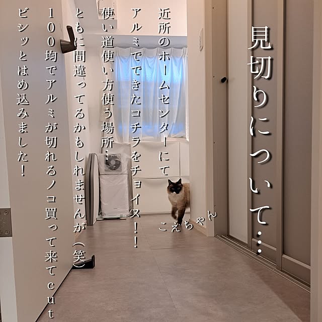 kankanmom_horn_5catsさんの実例写真