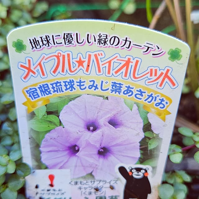 mocomocoさんの部屋