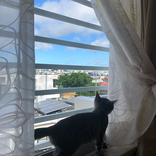 Pisaさんの実例写真