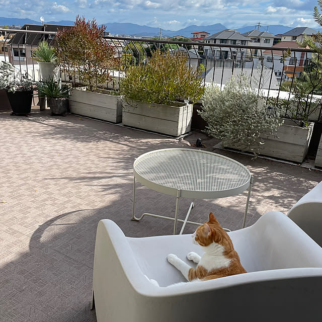 lalaさんの実例写真