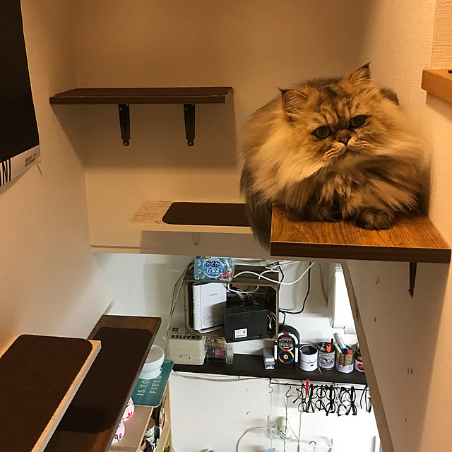 DANMIさんの実例写真