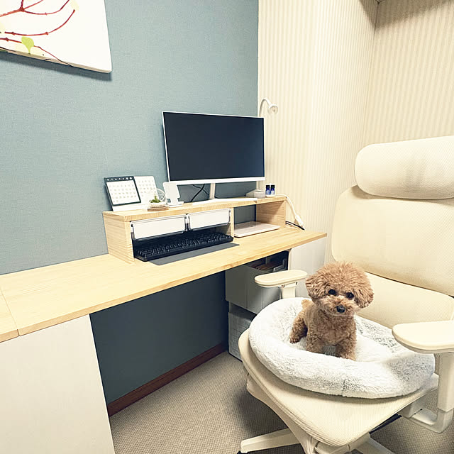 kawauso15さんの部屋