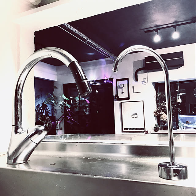 TOTO 浄水器専用自在水栓(ビルトイン形・浄水カートリッジ交換 TOTO 浄水器専用自在水栓(ビルトイン形・浄水カートリッジ交換