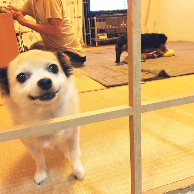 ohanaさんの実例写真