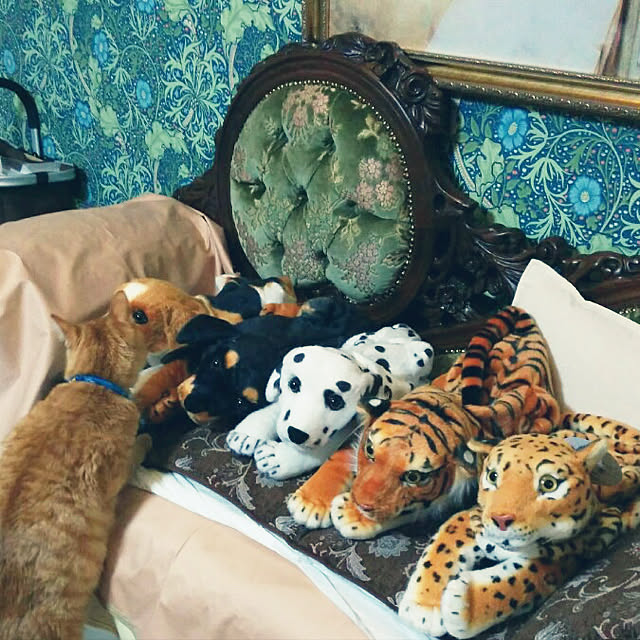 suzuさんの実例写真