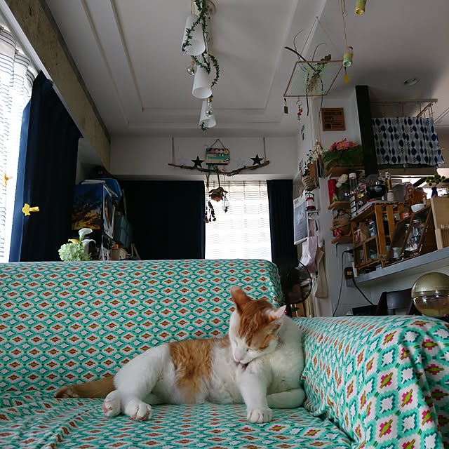 porinさんの実例写真