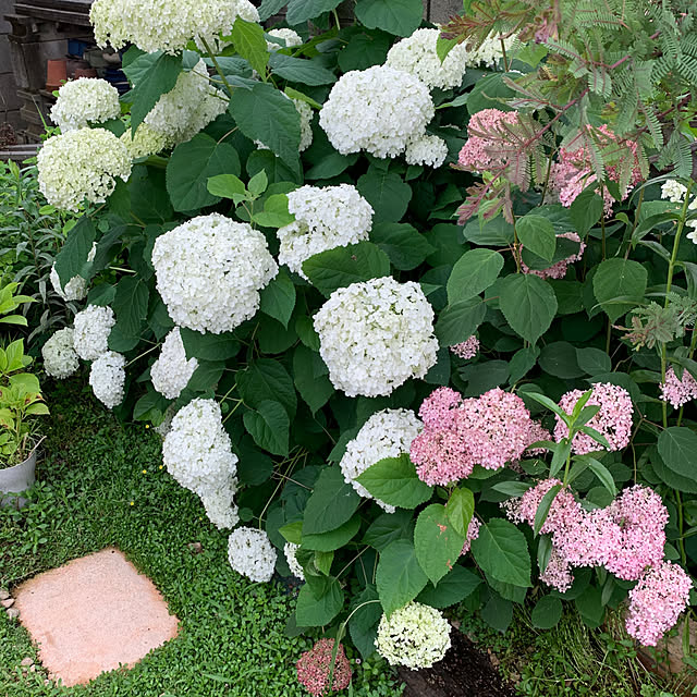 taeさんの部屋
