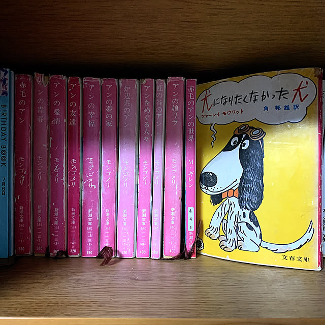 eshinobumさんの部屋