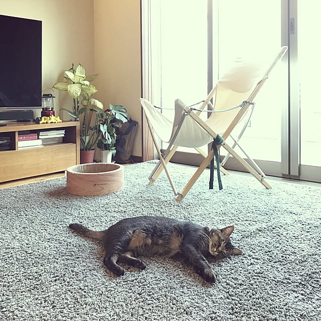 noraさんの実例写真