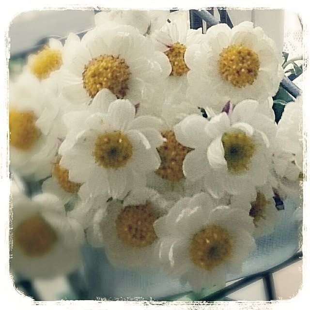 OBTERNIR88filerさんの実例写真