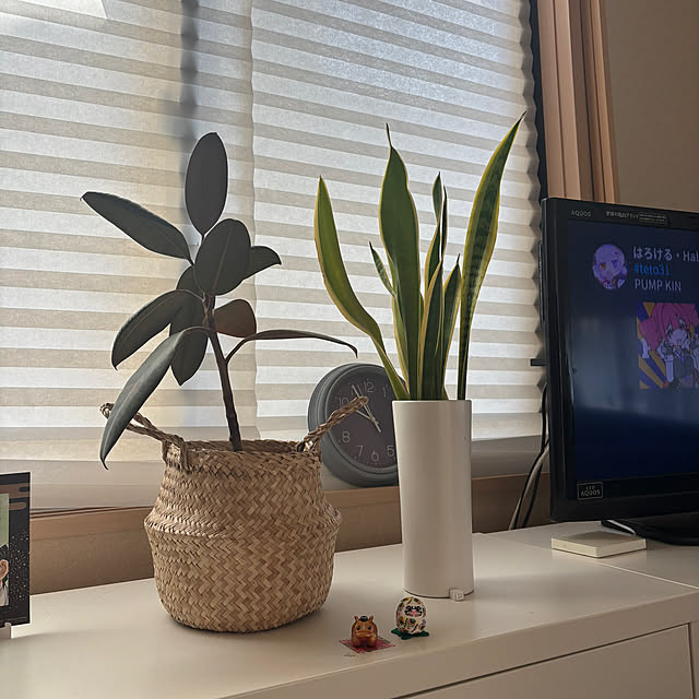 haruharu3さんの実例写真