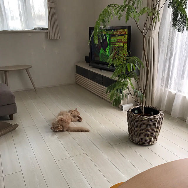 mofucatさんの実例写真
