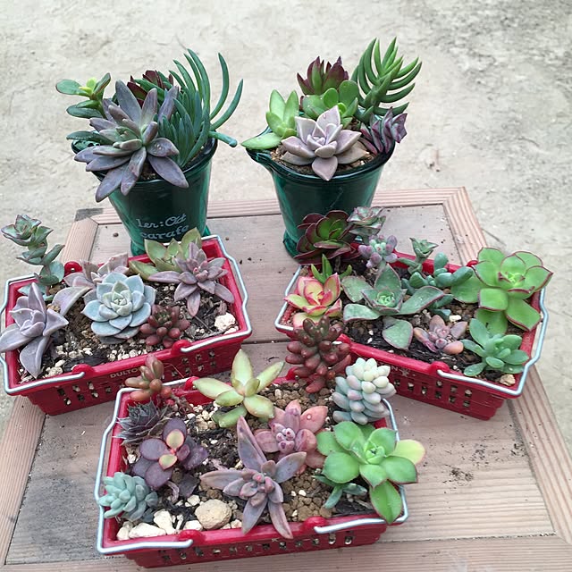 rekoさんの実例写真