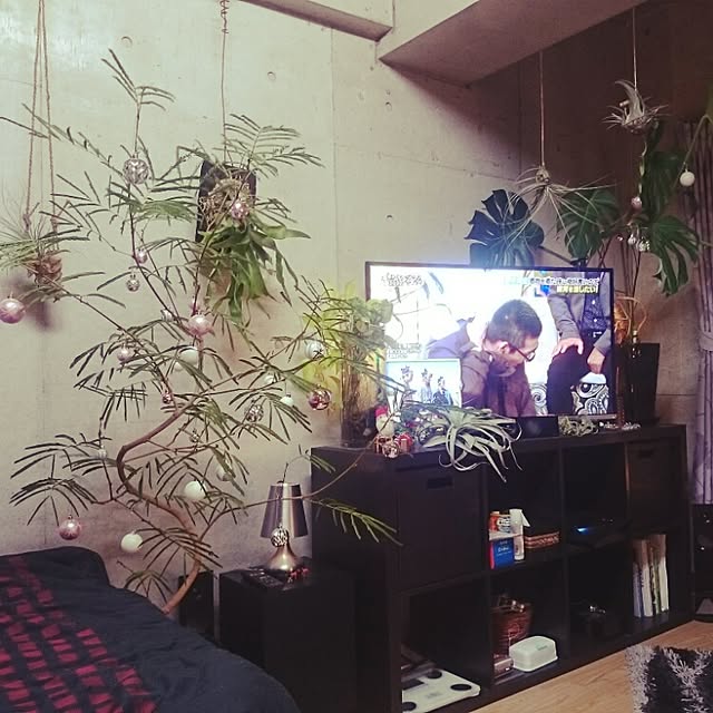 Reiさんの実例写真