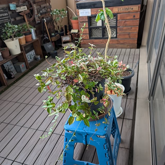 lovepeaceさんの部屋
