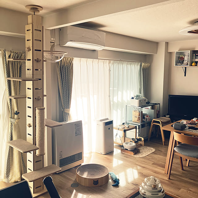 部屋全体/ねこと暮らすのインテリア実例 - 2024-08-07 23:09:45