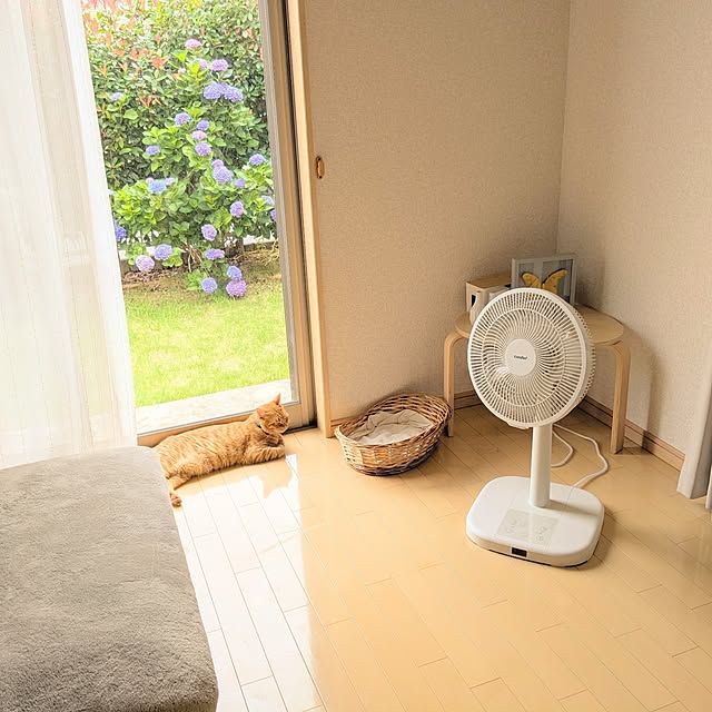 emyさんの実例写真