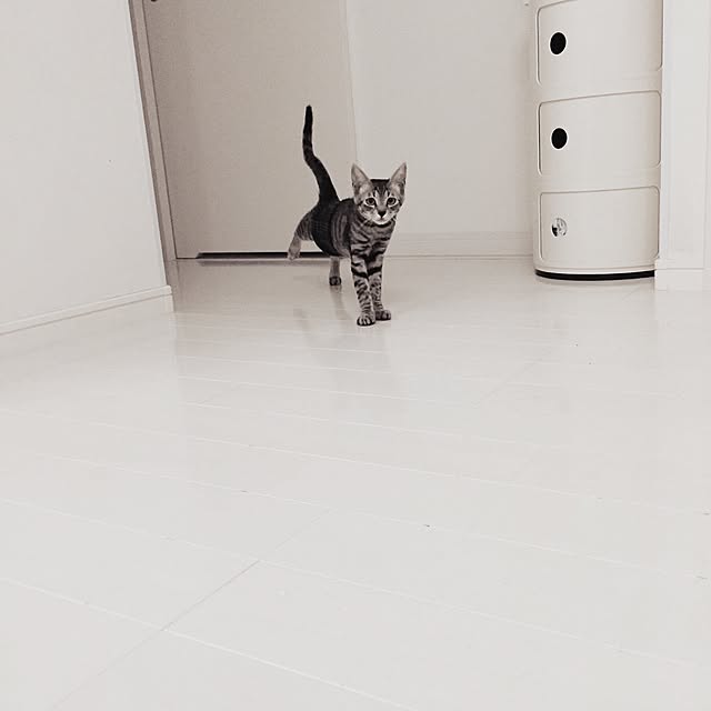 mackyさんの実例写真