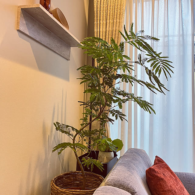 mikasa34さんの実例写真