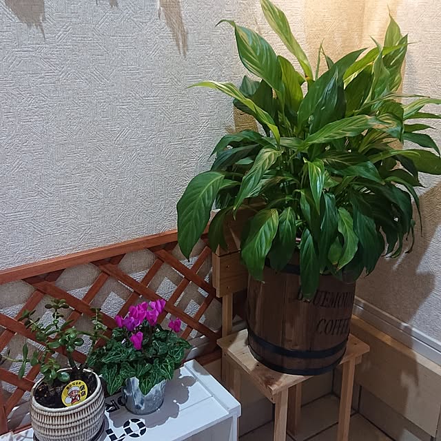 KOMARIN358さんの部屋