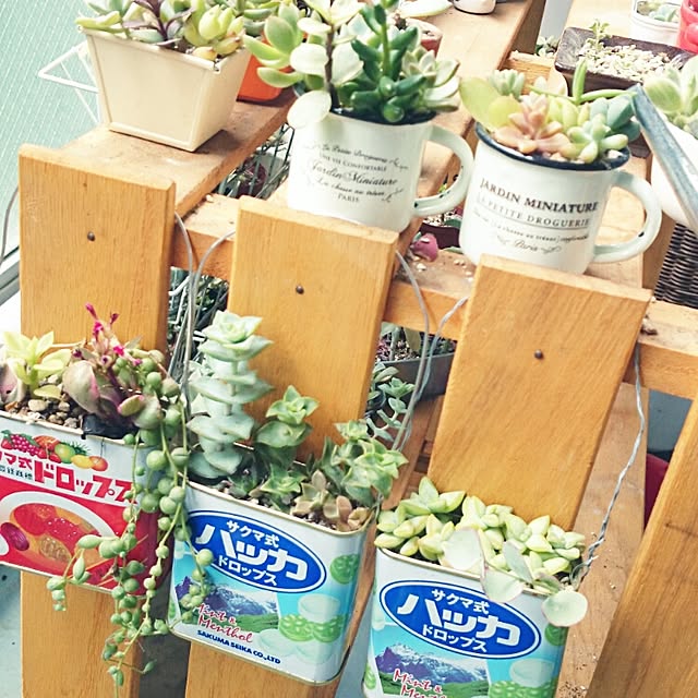 rookier05さんの実例写真