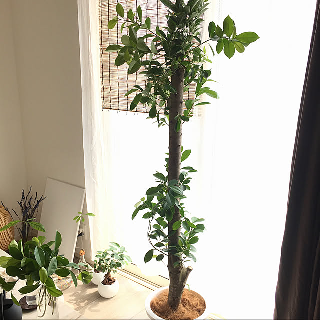 yamaさんの部屋