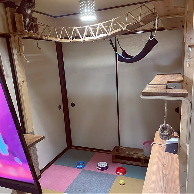 #キャットウォーク/#ディアウォール/#猫のいる生活/部屋全体のインテリア実例 - 2022-01-07 14:14:49