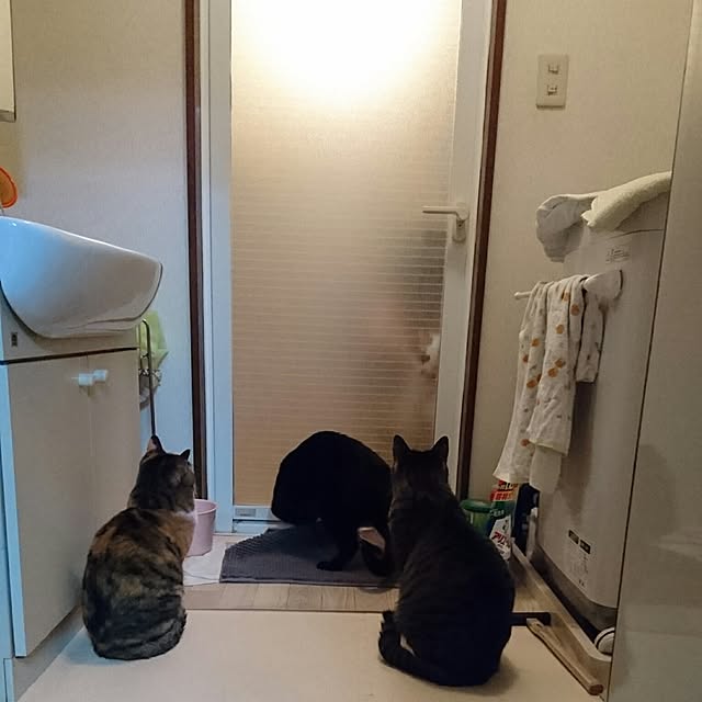 taleo07さんの実例写真