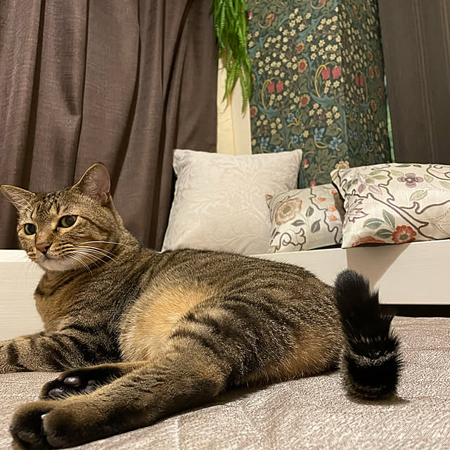 namiさんの実例写真