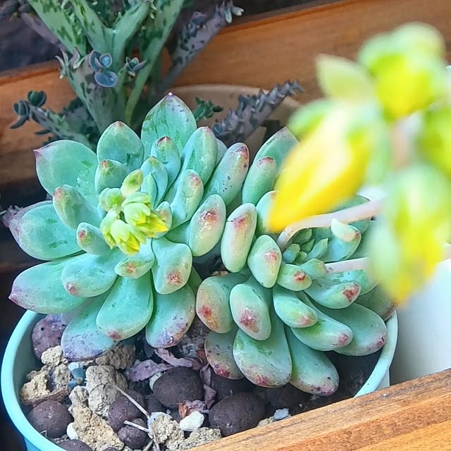 h.t.さんの部屋