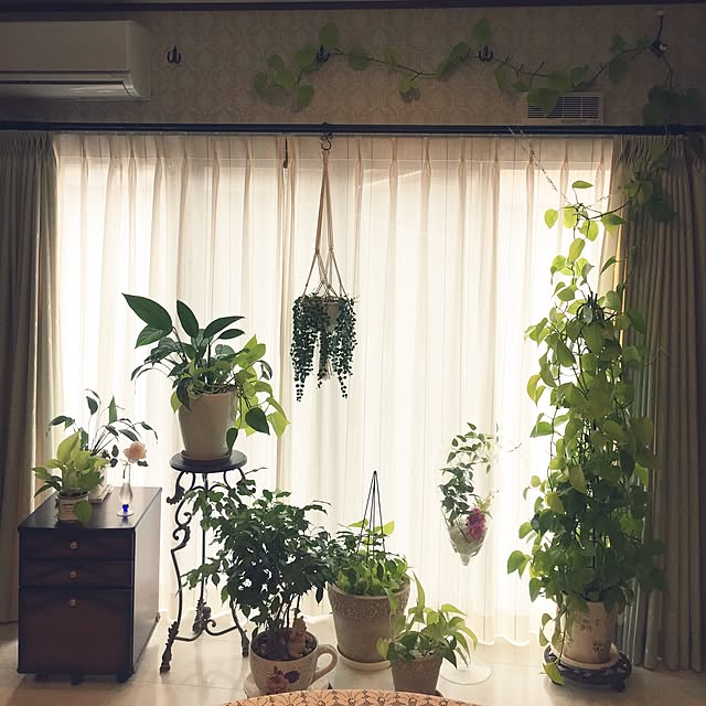nonさんの実例写真