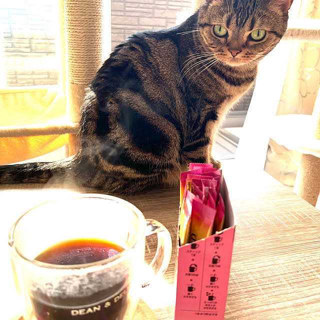 karinさんの部屋