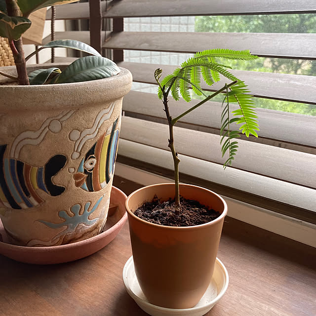 kan2さんの部屋