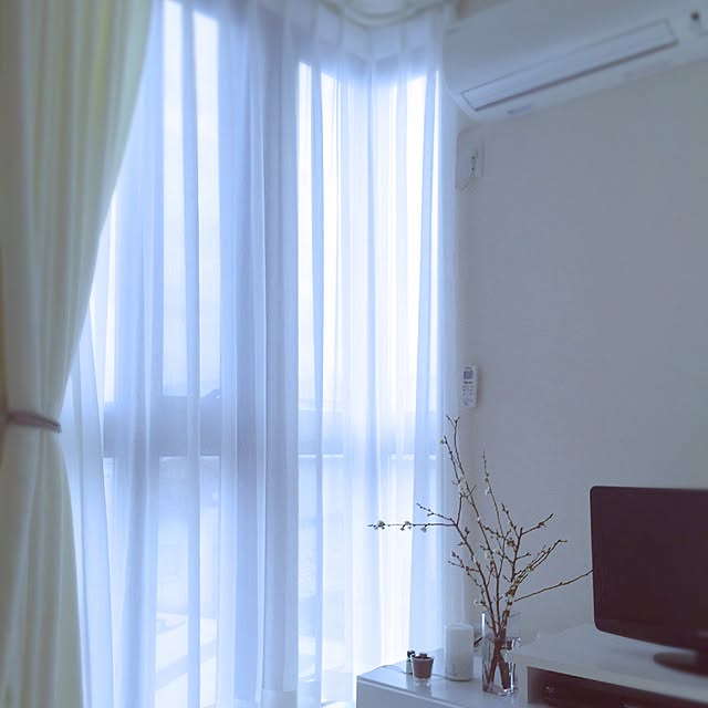Sanaさんの実例写真