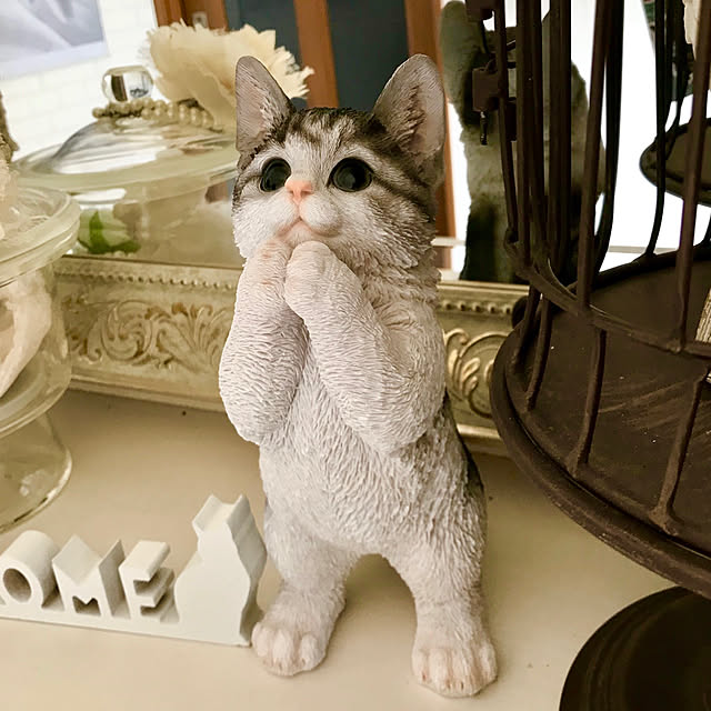 butachanさんの実例写真