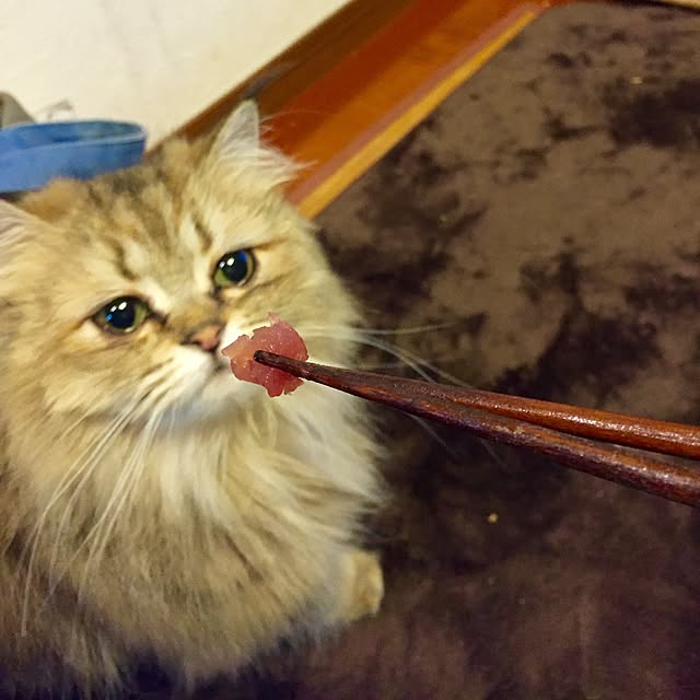 butachanさんの実例写真