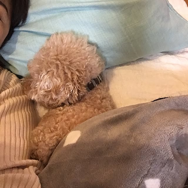 chocomamaさんの実例写真