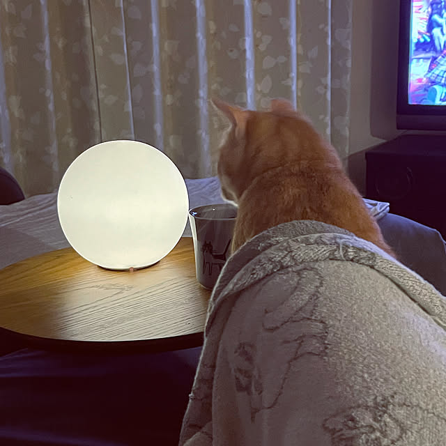 chiiさんの部屋